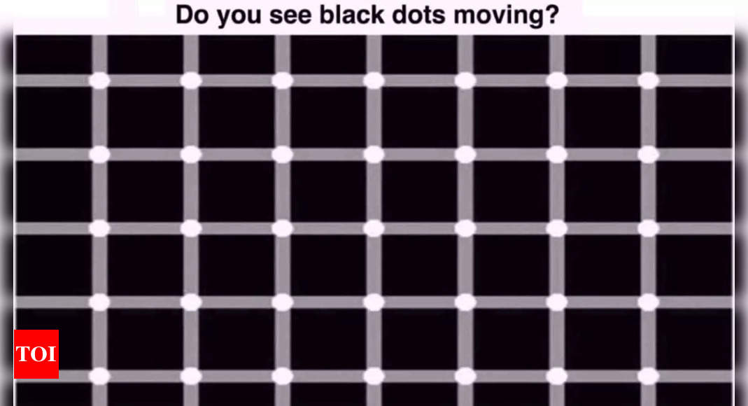 Do You See Black Dots Moving?