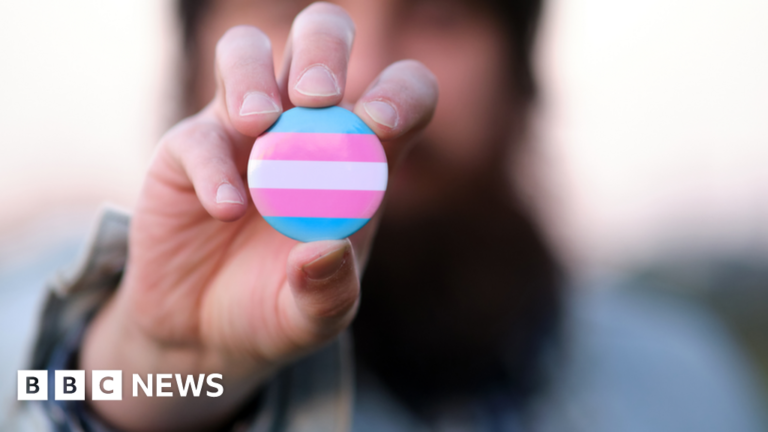 Trans girls might be counted as girls in Senedd elections