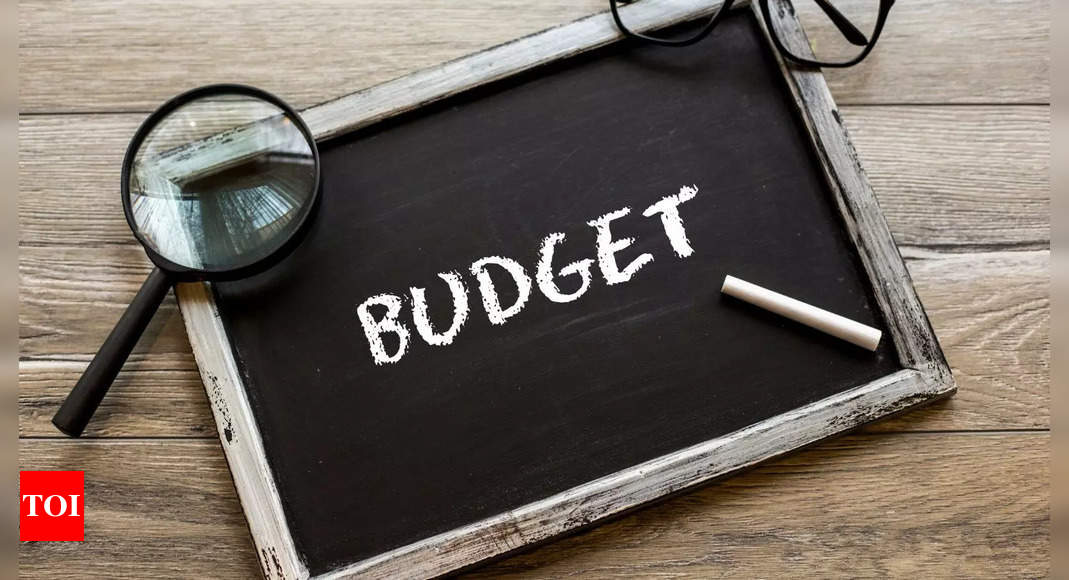 Interim Budget 2024: New Policy Initiatives to Attract International Students to India |