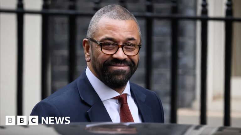 Rwanda deportations may very well be low, says James Cleverly