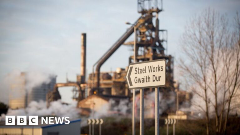 Tata steelworkers foyer MPs on hundreds of job losses