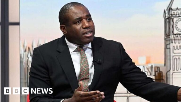 Belief Labour to uphold inexperienced funding plan, David Lammy says