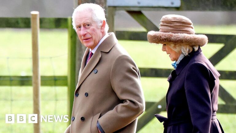 King Charles III recognized with most cancers, Buckingham Palace says