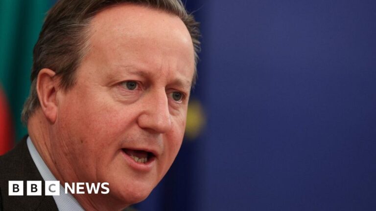 Lord Cameron urges US Congress to again Ukraine funding bundle