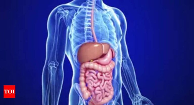 Preservatives and Intestine Microbiome: Uncovering Sudden Results | Examine |