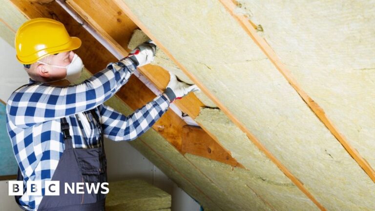 Row erupts over price of Labour's house insulation plan