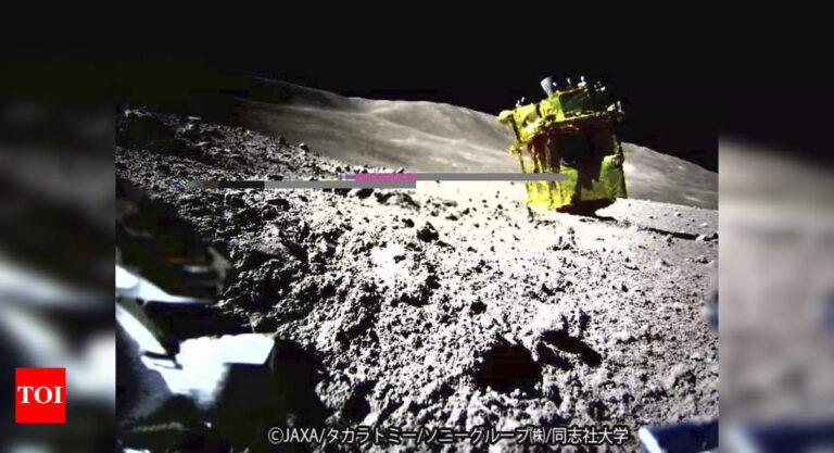 Japan Moon probe survives second lunar night time: House company