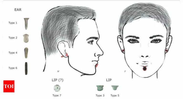 Decorative objects worn as piercings: 11,000 years outdated burials reveal stone-age physique piercings