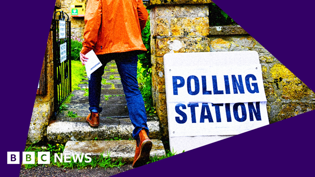 Selfies, canines and consuming: What cannot you do in a polling station?