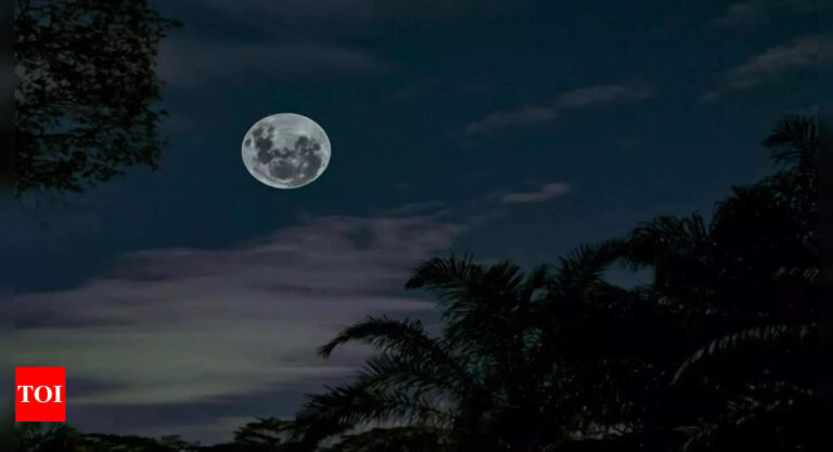 Blue Moon August 2024: Witness uncommon Supermoon Blue Moon on August 19 |