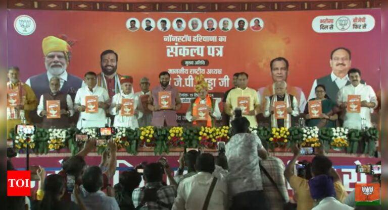 ‘Money for ladies, MSP for farmers’: BJP releases manifesto for Haryana polls | India Information