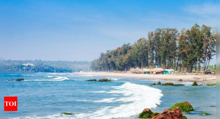 Payment for Goa seashore weddings elevated to Rs 1 lakh per day