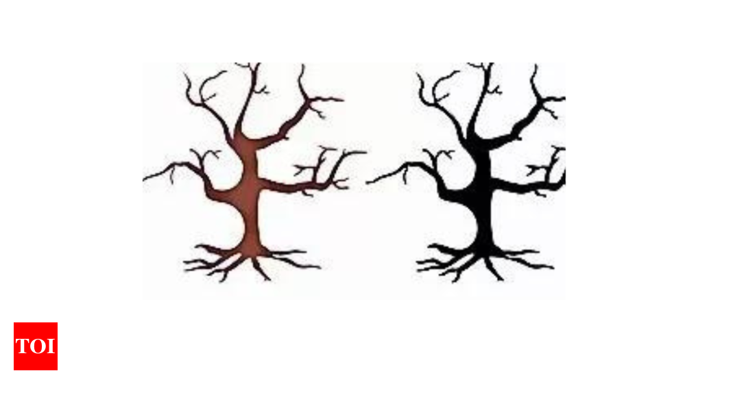 As drought menace grows, a ‘lifeless tree’ emoji is coming