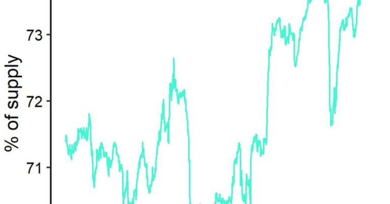 Illiquid Bitcoin Entities Now Management File 74% of BTC’s Circulating Provide