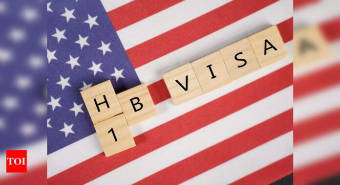 Tech Layoffs and Tough Immigration Rules Impact Indian H-1B Visa Holders: 11 Important Things They Must Know