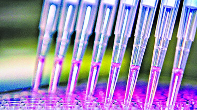 Why precision drugs in India can’t advance with out biobank legal guidelines | Evaluation