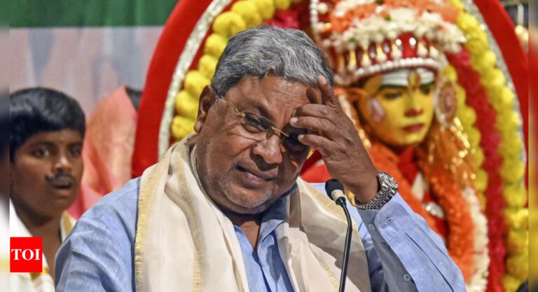 Accused of fund misuse, Karnataka to make temple audit experiences public | India Information