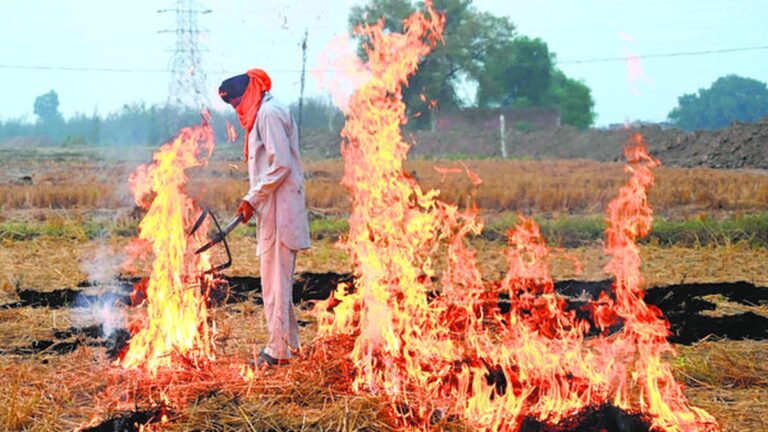 The discrepancy between satellite tv for pc knowledge of farm fires and air air pollution | Defined