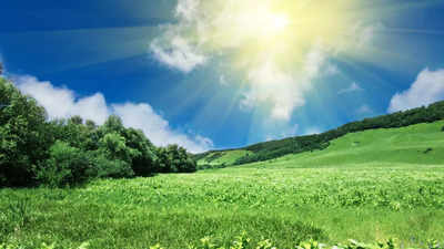 February or April? Specialists warn of disappearing seasons amid local weather shifts | February or April? Specialists warn of disappearing seasons amid local weather shifts |