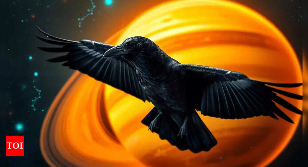 Daily Shani Horoscope: Predictions For March 04, 2025 Daily Shani Horoscope: Predictions For March 04, 2025