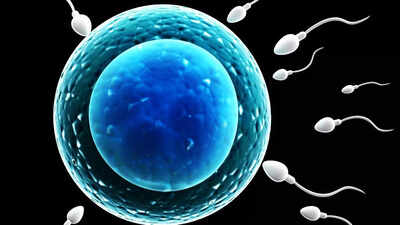 World’s first sperm race in Los Angeles brings male fertility into public spotlight | World’s first sperm race in Los Angeles brings male fertility into public spotlight |