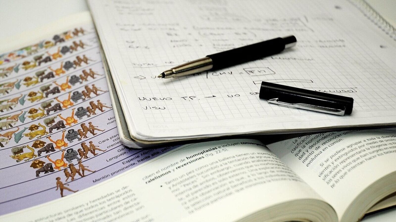 AP EAMCET Counselling 2025: Allotment Phase 1 result to be RELEASED today at eapcet-sche.aptonline.in; details here