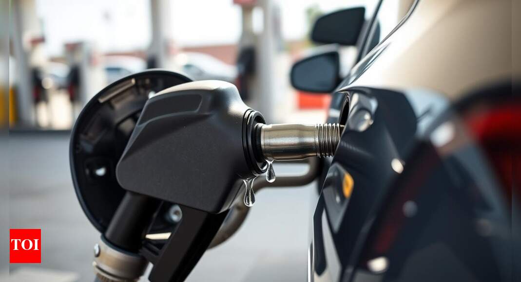 E20 rollout sparks consumer issues: Mileage dip, engine woes reported — what car owners say about use of ethanol-blended petrol