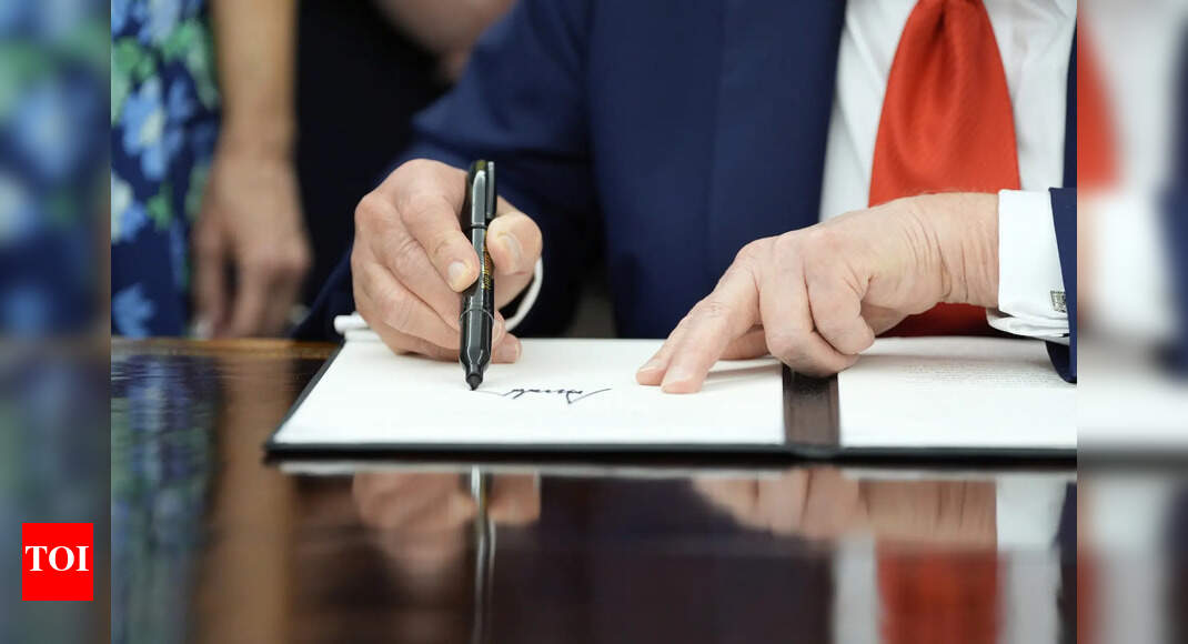 ‘You never see the person again’: Trump signs executive order to block cashless bail — why some call it honest, others dangerous ‘You never see the person again’: Trump signs executive order to block cashless bail — why some call it honest, others dangerous