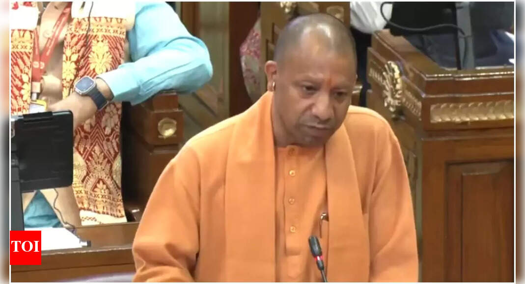 Sambhal report: Yogi says files reveal how conspiracy unfolded; minister flags ‘demographic shift’ | India News