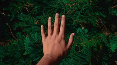 Why humans can’t digest grass: Understanding the biological limitations |